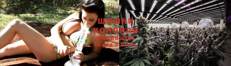 Бошки марихуана OG Kush  hydra как зайти  Ак-Довурак 